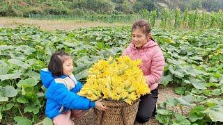 Harvesting 'pumpkin flowers' and selling ducks - buying a school bag for baby 'Suong'