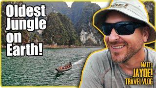 Visit the Oldest Jungle on Earth | World Travel VLOGS