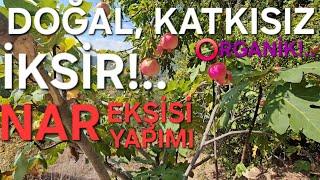 TARSUS'TA ORGANİK NAR EKŞİSİ YAPTIK!..