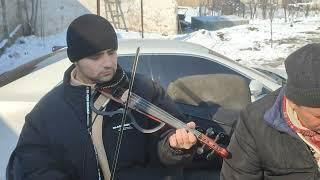 Орзуев Фируз  Навозиши скрипка 2023/ Firuzi Orzu Violin performance 2023