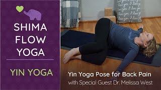 Yin Yoga Pose for Back Pain with Special Guest Dr. Melissa West