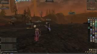 Lineage II маг Фео ШТС