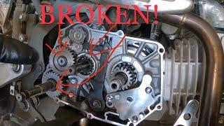 YX 140 Pitbike Kick Start Slip / Stuck fix - Clutch Side Disassembly / Reassembly pt 1