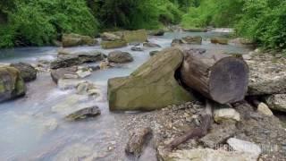 Coast of the Agura river. Sochi in Krasnodar Krai of Russia