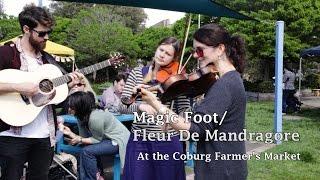 Fiddle tunes from Quebec:  Magic Foot/Fleur de Mandragore