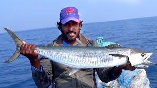 QUEEN FISH / KING FISH catching at OFFSHORE