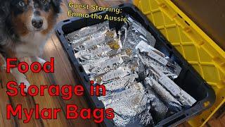 Vacuum Sealing Mylar Bags for Long-Term Food Storage (The Easy Method)