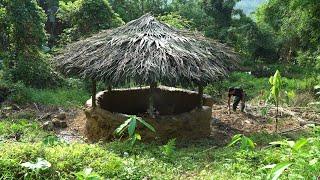 Completing the shelter in the rain | Survival Instinct | Episode 2