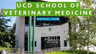 UCD School of Veterinary Medicine Virtual Tour | UCD Global