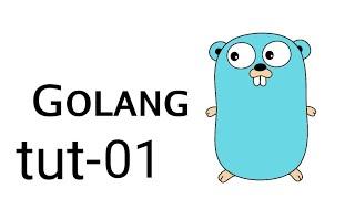 golang tutorial 01 | muo sigma classes