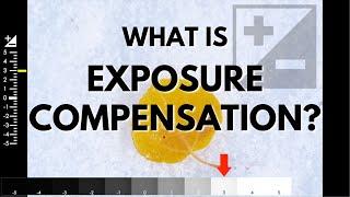 What is Exposure Compensation and How Do You Use It?