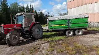 Пшеничка начинает свой путь в порт / Massey Ferguson 3080