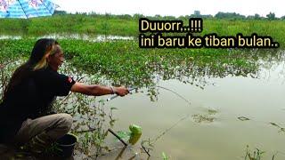 Pecah Suasana!! Air yg tenang berubah seketika di saat ikan memberontak