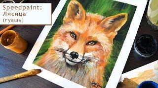 Рисую лису гуашью /  I paint fox in gouache /  Speedpaint