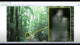 Portals in the Forest March 2023 (Mirrored)