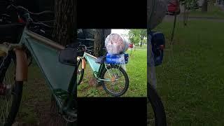 Городской байкпакинг. За молочком.. #bike  #shorts