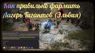 Black Desert / BD: Как правильно фармить Лагерь Гигантов (Эльвия Калфеон)