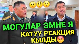 ЧОҢДОР КАПЫСТАН КЕЛИШТИБААРЫН ТИЗИП ЖАПЫРТ КАРМАДЫАКЫРЫНДА ИТИН ЧЫГАРДЫ