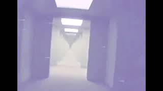 Diceros-Environment 81: Light blue lighting and warm lighted room ( lost backrooms footage)