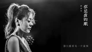 蕭煌奇《你是我的眼》解偉苓 #COVER｜「讓我看見這世界就在我眼前 」