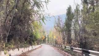 Almaty road trip. Дороги нашего города.Едем вниз с Медео. Осень 2024 #kazakhstan #roads #almaty