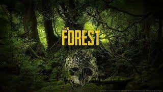 The Forest Как легко попасть в кратер