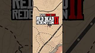 Have You Seen This? - #rdr2 #shorts #viral