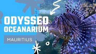 ODYSSEO  - a magic UNDERWATER WORLD in MAURITIUS