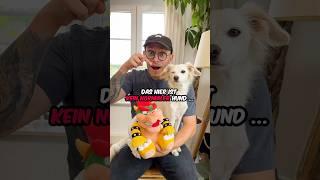 Was ist die BESTE Konsole? #nintendo #playstation #xbox #hund #vlog