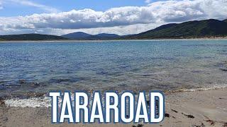 TARAROAD is live!