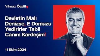 Devletin Malı Denizse, E Domuzu Yedirirler Tabi Canım Kardeşim! - Yılmaz Özdil