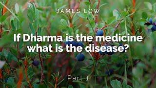 1/2 If Dharma is the medicine, what is the disease? Zoom 11.2024