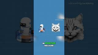 Supervised Machine Learning | Supervised Learning in Machine Learning | Supervised Learning Tutorial