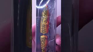 My Nr1 Pike lure and trofey :)  #pike #lure #fishing #salmo #fish