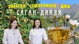 Саган дайля (рододендрон Адамса)