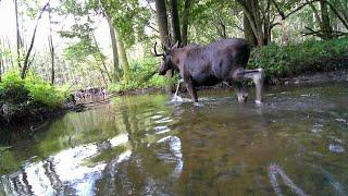 Nawałnica bagno woda