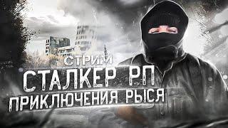 STALKER RP  ПУТЬ ДО БАРА СТРИМ #dayz