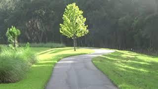 Bike Path Along Chitty Chatty Village