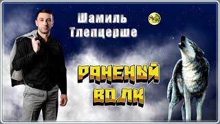 Шамиль Тлепцерше - Раненый волк | Шансон Юга