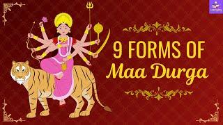 What Are The 9 Forms Of Goddess Durga ?? | Navdurga | Top Navratri Video | 2024