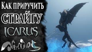 Icarus online(RU). Как приручить...#39. Страйга. Берег Парны