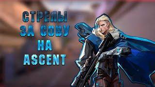 СТРЕЛЫ ЗА СОВУ НА ASCENT!НЕ ДЕФОЛТНЫЕ СТРЕЛЫ ЗА СОВУ!