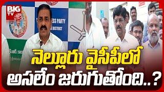 నెల్లూరులో వేగంగా మారుతున్న రాజకీయాలు | Fast changing politics in Nellore | BIG TV Telugu News