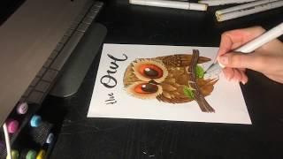 Speed Painting: The Owl