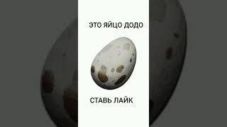 САМОЕ ЗАЛАЙКАННОЕ ЯЙЦО ИЗ ARK SURVIVAL EVOLVED MOBILE! #shorts #fyp #ark #арк #лайки #egg #likes #on