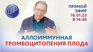 Аллоиммунная тромбоцитопения плода. Система HPA. Группы крови тромбоцитов. Эфир с И.И. Гузовым.