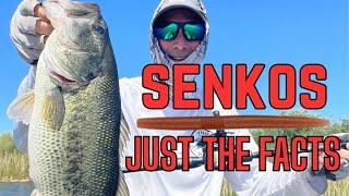 Senkos / The Facts And A Secret Rig!