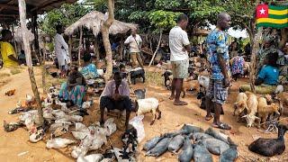 Rural village market day in Togo west Africa.  Cost of organic food in my African village.