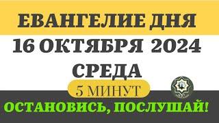 16 ОКТЯБРЯ СРЕДА ЕВАНГЕЛИЕ ДНЯ 5 МИНУТ АПОСТОЛ МОЛИТВЫ 2024 #мирправославия