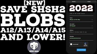 How to save SHSH blobs A15/A14/A13/A12 & lower | Windows Method | SHSH Blobs A13 | All iDevices|2022